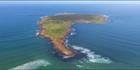 Gabo Island - VIC (PBH3 00 34715)